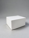 Caja Empanada x 2