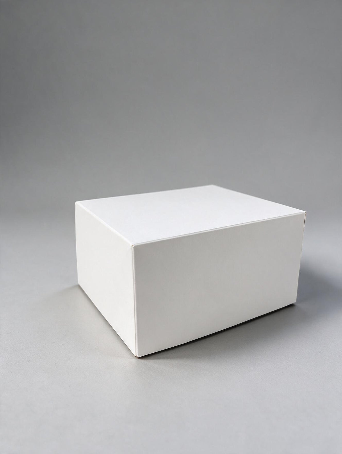 Caja Empanada x 2
