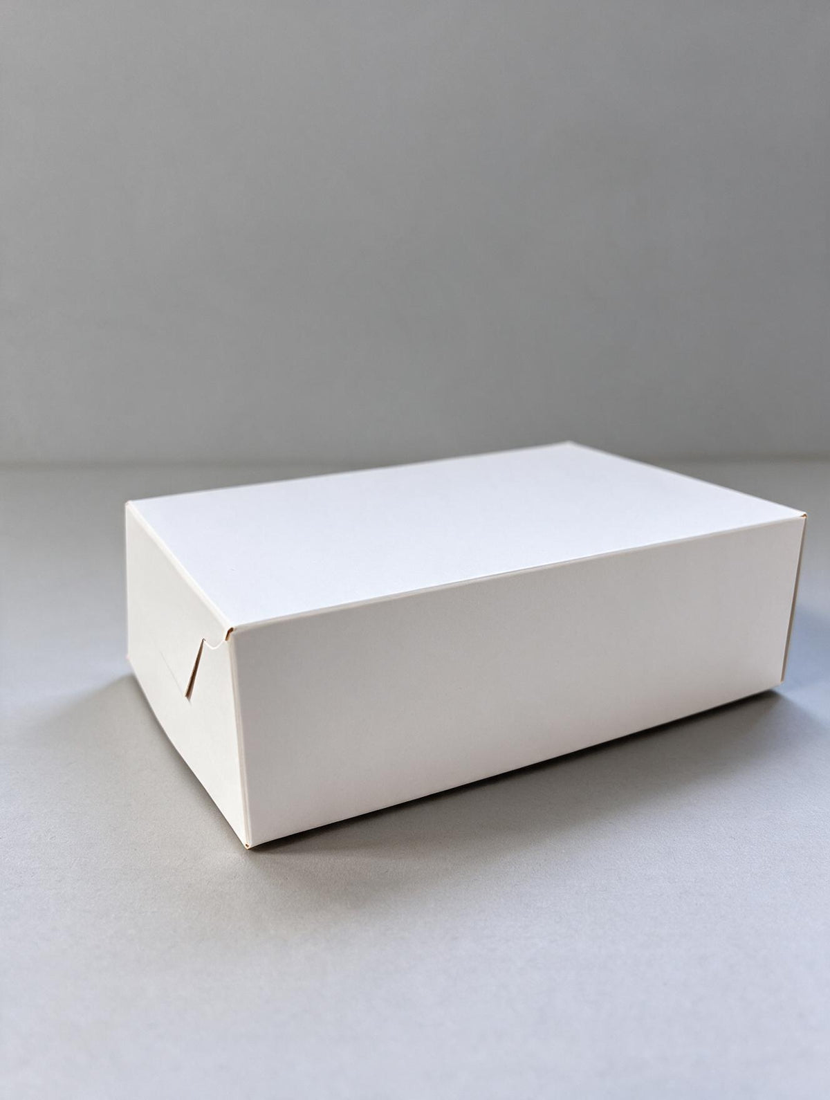 Caja Empanada x 3