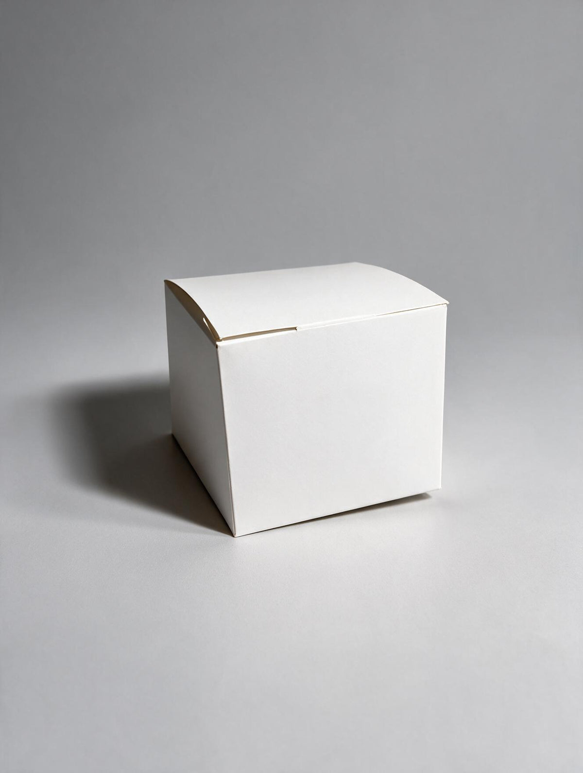 Caja Fritos chica