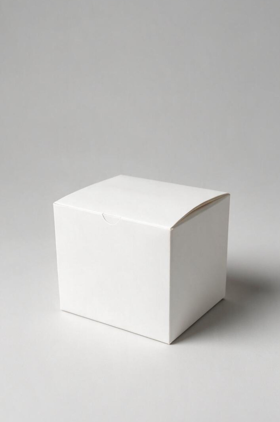 Caja Hamburguesa individual