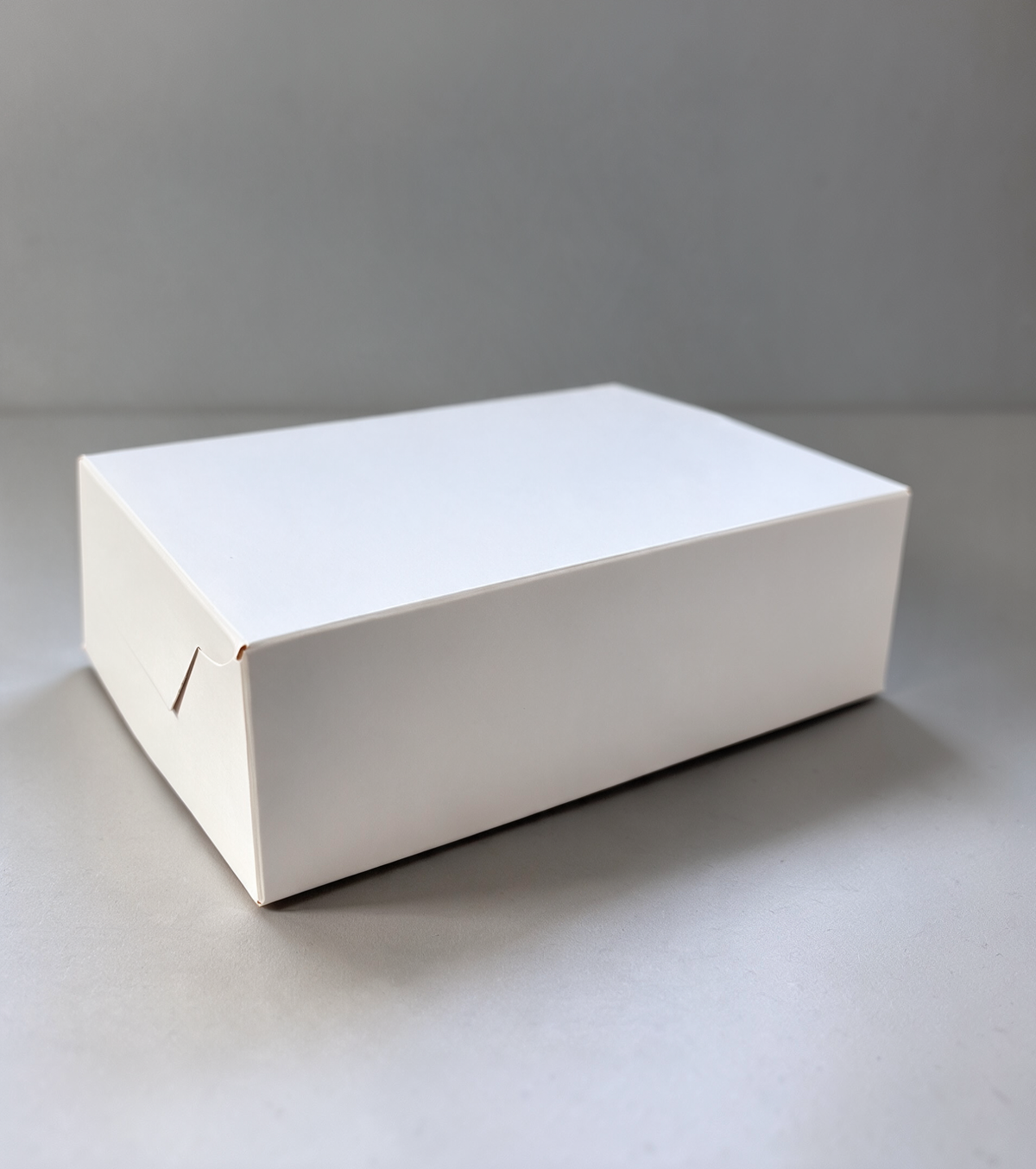 Caja Empanada x 6