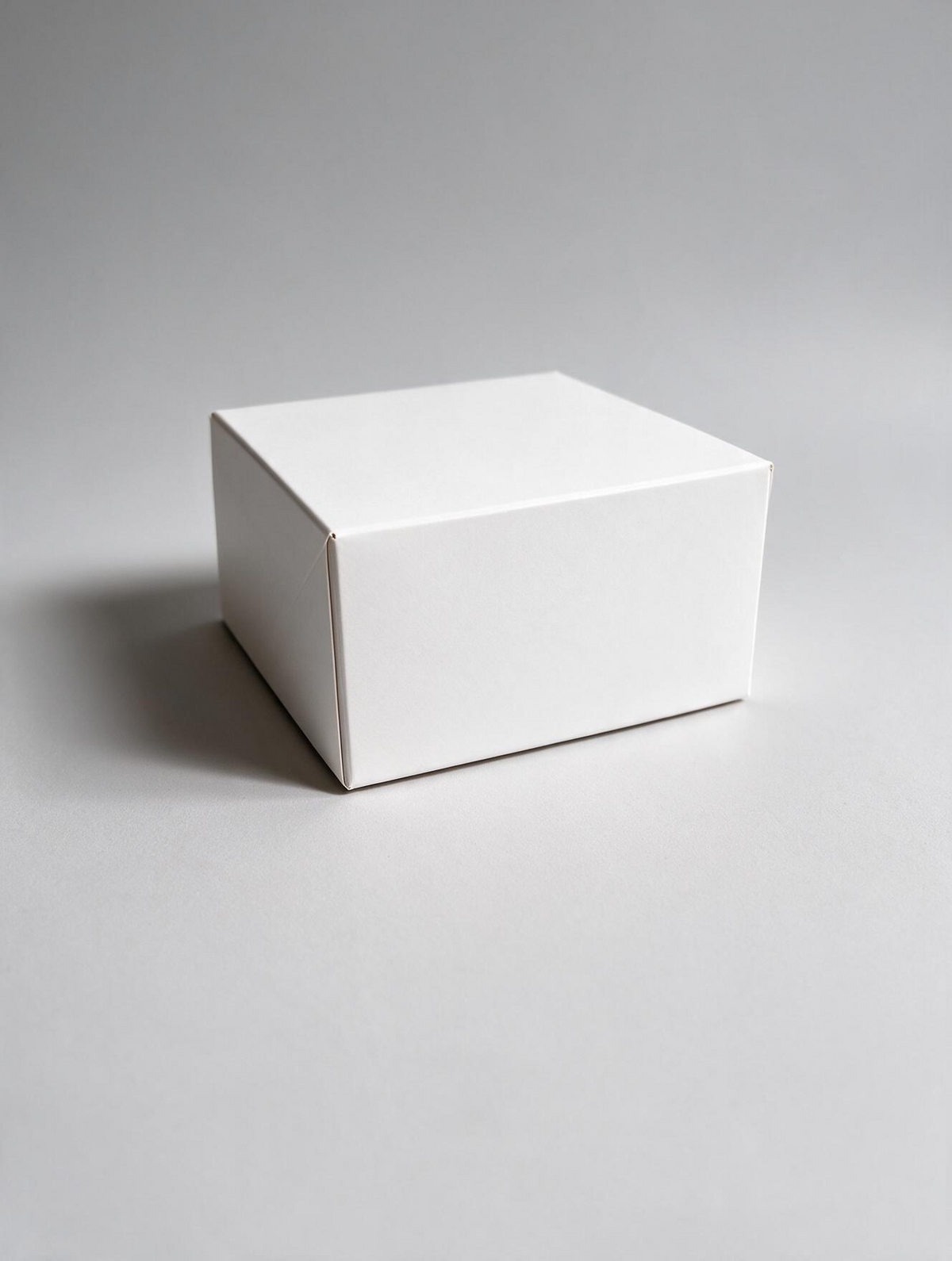 Caja Multiuso x 2