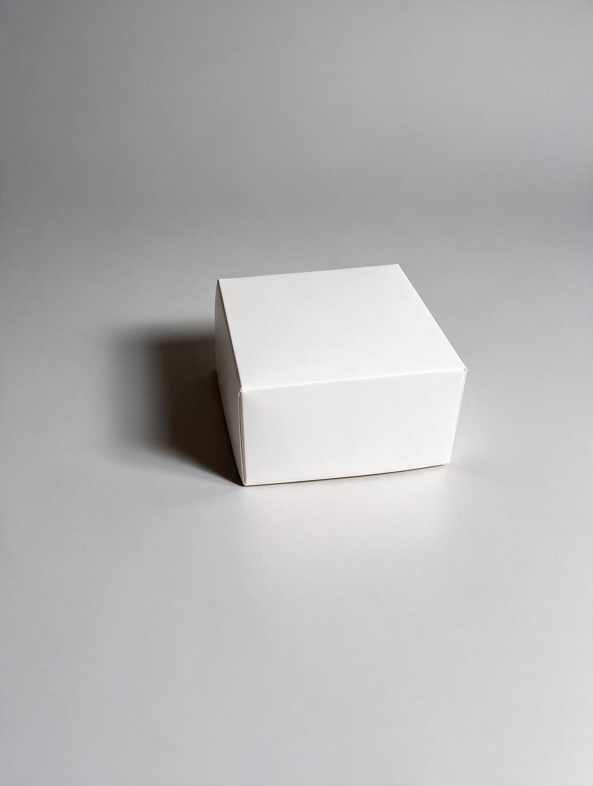Caja Multiuso x 1