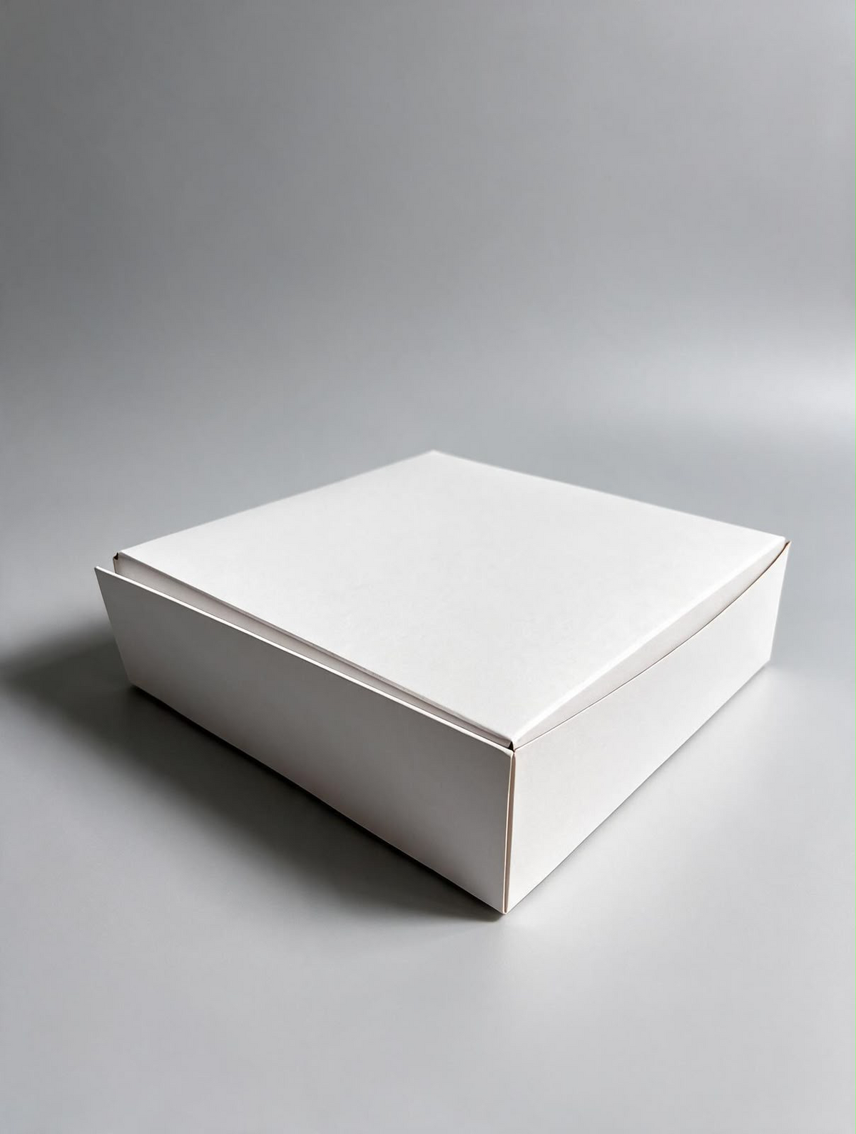 Caja Multiuso x 4