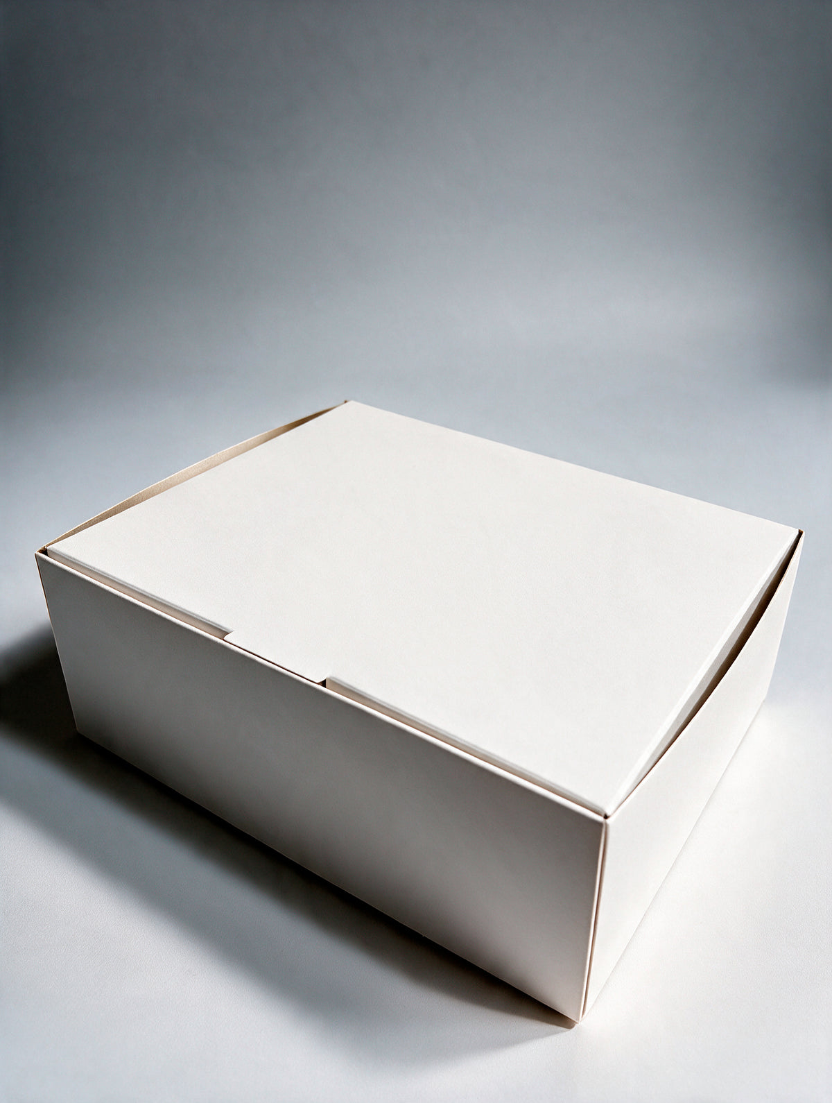 Caja Sushi grande
